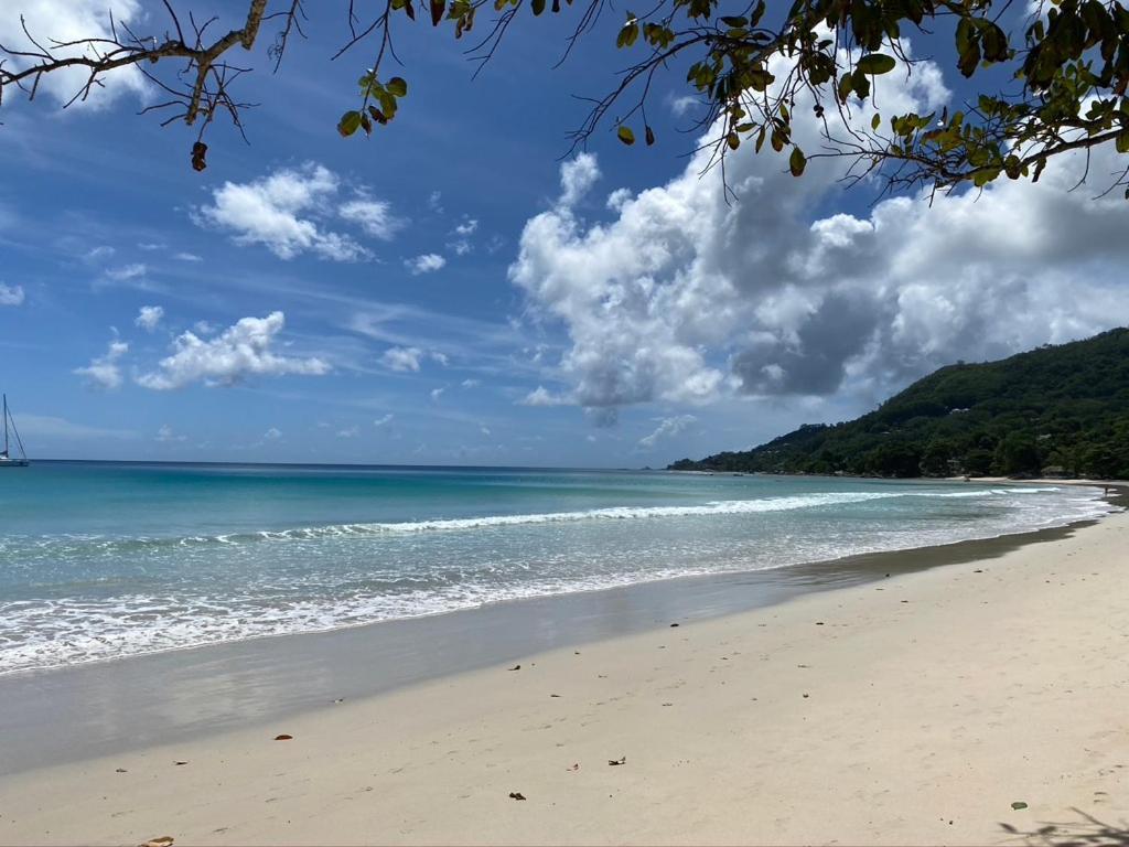 Beau Bamboo Daire Beau Vallon  Dış mekan fotoğraf